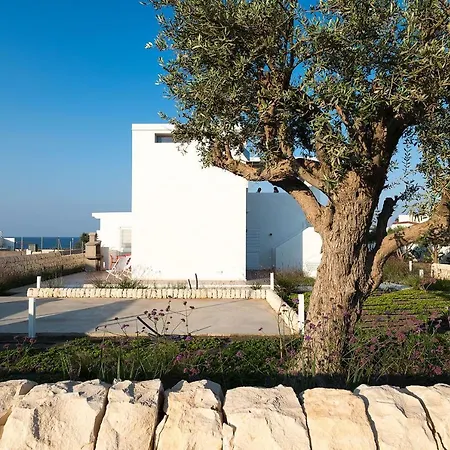 Villa San Lorenzo - Palma *